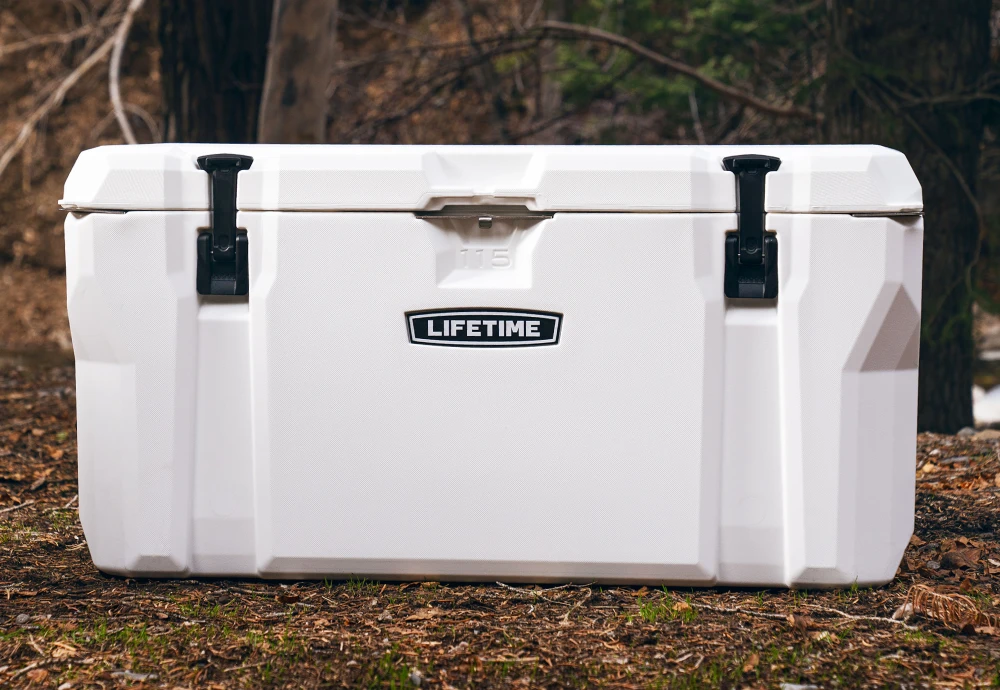 cooler box for ice cream