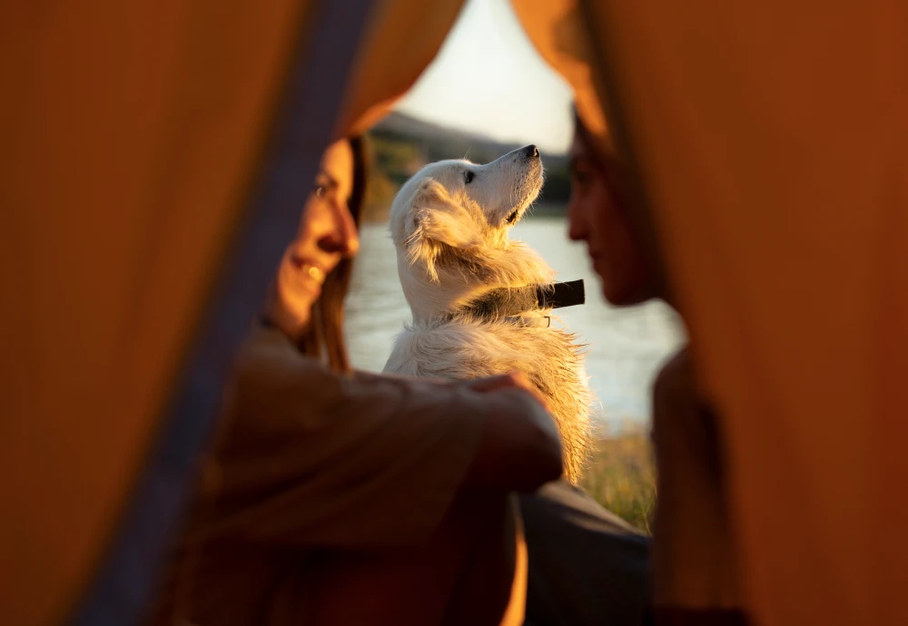 pyramid tent 4 person