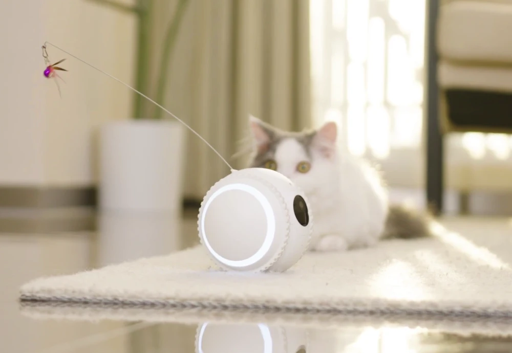 best home security camera for pets