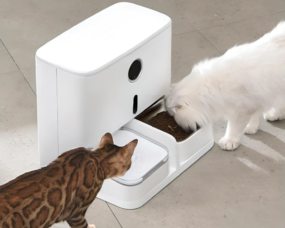 dog automatic pet feeder